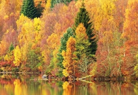 Autumn Reflection - lake, nature, reflection, autumn