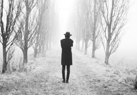 road in fog - boy, black, trees, white, fog, alone, way