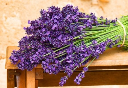 Lavender sprigs - pretty, delicate, lavender, summer, blue, beautiful, fragrance, sprigs, lovely, freshness, harmony, fresh, nature, scent, nice