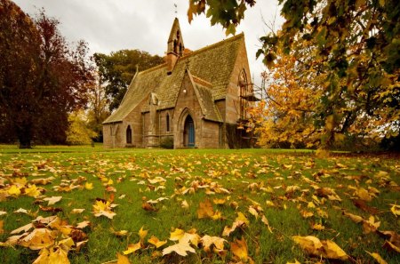 Church in fall - cottage, countryside, colorful, field, meadow, britain, branches, falling, nature, arch, forest, beautiful, leaves, cabin, europe, nice, autumn, trees, foliage, fallen leaves, calm, fall, rural, pretty, architecture, house, scaffolding, england, peacefu, lovely, village, church, colors