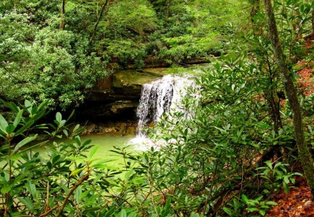 Twin waterfalls - pretty, cascades, summer, stream, forest, hidden, nice, emerald, falling, branches, trees, water, beautiful, lovely, fall, double, nature, waterfall, green, twin, greenry