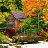 Forest water mill