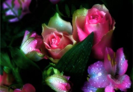 BEAUTY IN BLOOM - flowers, roses, blooms, beauty, colors