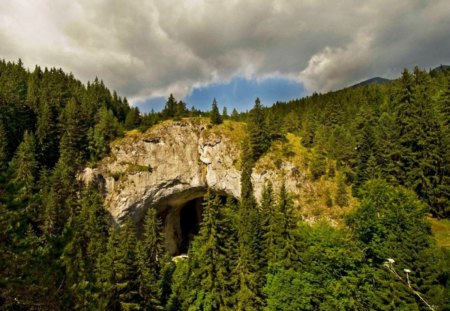 Amazing Bridges - forest, evergreen, beautiful, photo, rosks, sky, photography, trees, wonderful, nature, mountain, bulgaria, green