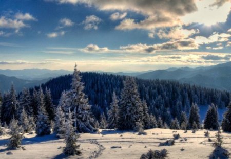 Pamporovo - forest, winter, beautiful, photo, sky, photography, trees, nature, mountain, snow, bulgaria