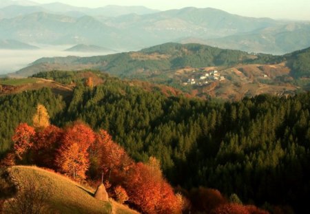 Rhodope Mountain - autumn, mountain, trees, forests, photography, bulgaria, nature, view, fall, beautiful, photo