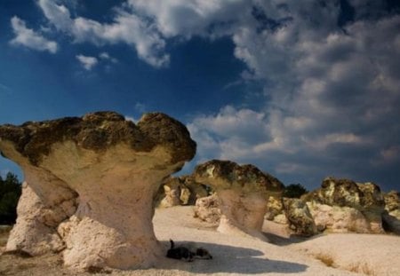 Stone Mushrooms - wonderful, nature, photography, nice, photo, mountain, sky, bulgaria