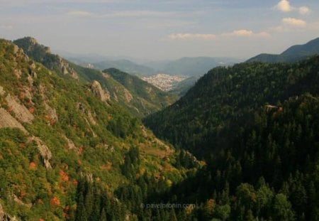 Rhodope Mountain - forest, nice, photo, photography, trees, nature, mountain, bulgaria