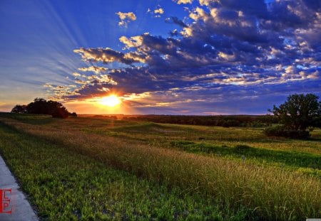 Nova - clouds, nova, field, sunset