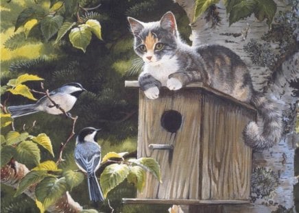 CAT AND BIRDS - bird, birdhouse, tree, cat