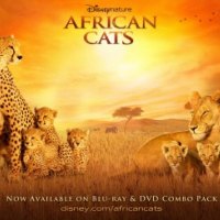 African-Cats