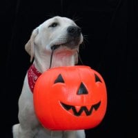 Holding a pumpkinâ™¥