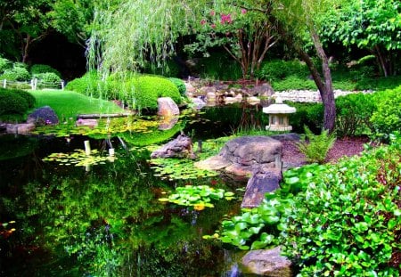 Japanese Gardens Brisbane - grass, water, pond, rocks