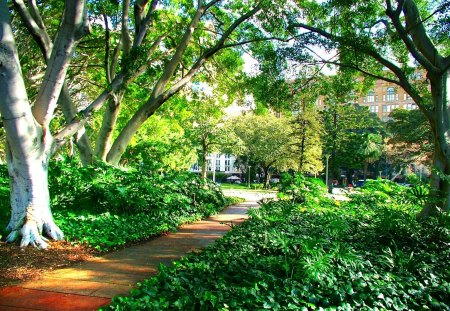 Hyde Park Pathway - pathway, tree, green, leaves