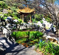 Chineses Gardens Sydney