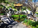 Chineses Gardens Sydney