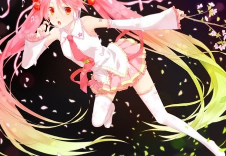 vocaloid - music, singing, manga, anime, cherry, miki furukawa