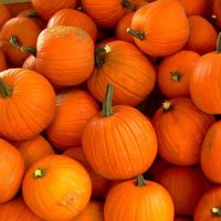 Pumpkins