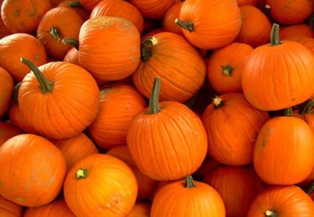 Pumpkins - orange, plant, vegetable, pumpkins