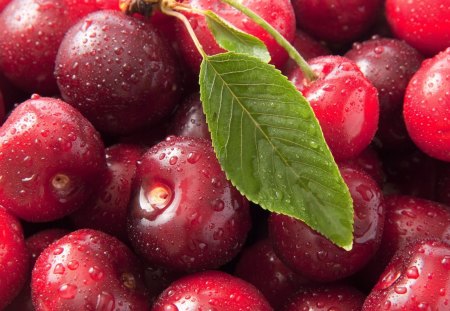 *** Ripe cherries *** - czeresnie, owoce, jedzenie, dojrzale