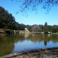 The Lake at Freedom Park