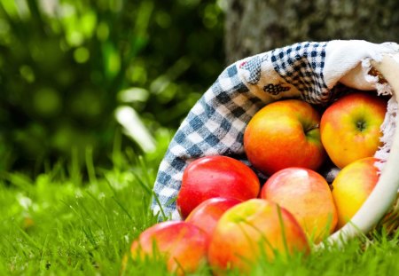 Apples - abstract, apples, nature, beautiful, green, photography, grass, apple