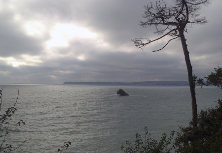 Berry Head from Meadfoot - trees, oceans, water, nature, beaches, sea