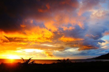 sunset - sky, ocean, wind, clouds