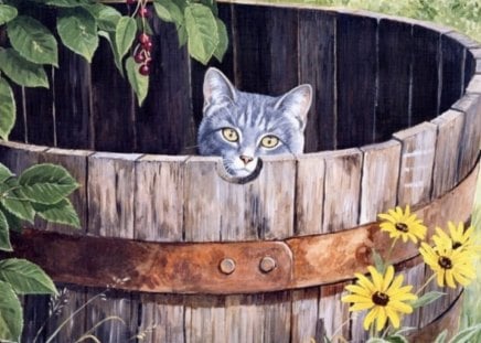 A NICE PLACE FOR ME - flower, cat, garden, black eyes susan