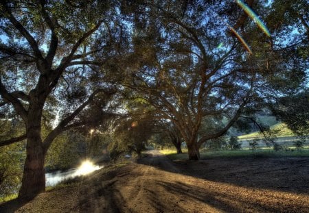 Beautiful View - trees, nature, blue, beautiful, view, forest, sun, sky