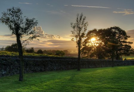 Beautiful View - nature, view, sky, beautiful, tree