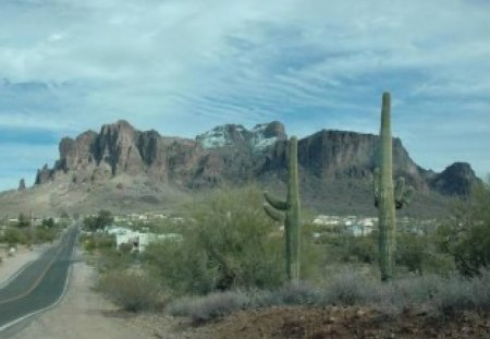 Desert Cactus - cactus, nature, sky, desert, road