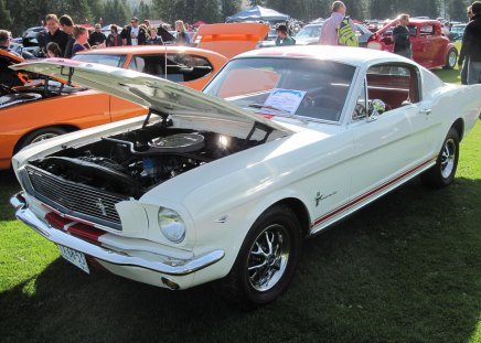 1966 Ford Mustang - tires, headlights, photography, grass, nickel, black, Ford, white, green