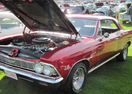 1966 Chevrolet  Chevelle - red, headlights, chevrolet, chrome, engine, black, photography, tires