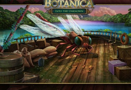 Botanica - Into the Unknown07 - video games, fun, games, hidden object