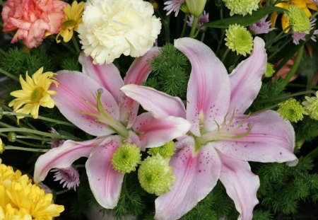 *** Pink lilies *** - kwiaty, natura, lilie, rozowe