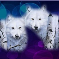 Behind The Birch Trees