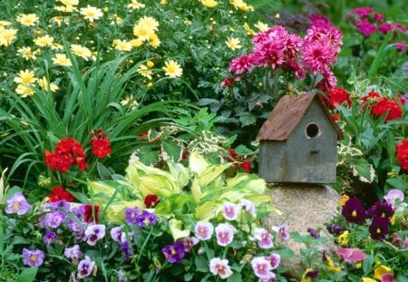 a teddy's garden - house, gree, flower, garden