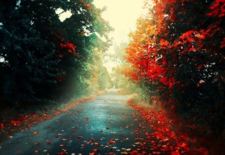 THE WINDS OF CHANGE - autumn, trees, lanes, roads, greens, reds, fall, seasons, leaves, paths, colourful