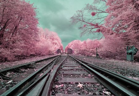 Winter - splendor, landscape, snow, sunrise, winter splendor, view, bench, sky, sun, clouds, trees, winter, beautiful, snowy, winter sun, beauty, colors, lovely, fence, tree, nature, sunset, winter time, peaceful