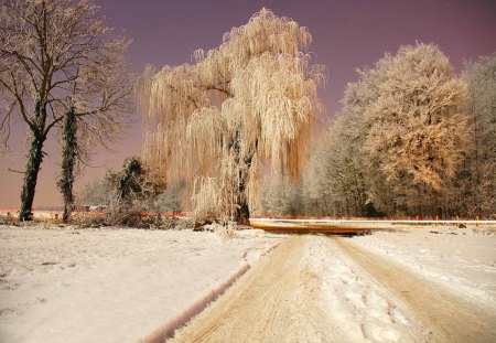 Winter - beauty, sky, trees, peaceful, sun, sunset, bench, view, winter time, clouds, tree, winter sun, snowy, fence, landscape, winter, lovely, nature, snow, beautiful, splendor, winter splendor, colors, sunrise