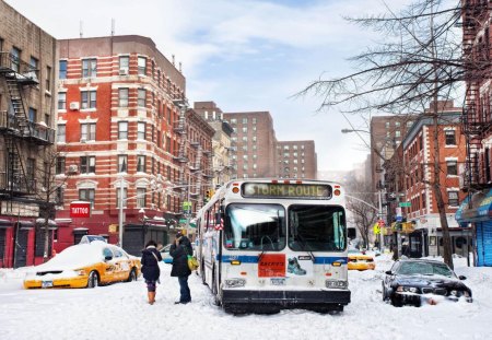 hard winter in nyc - bus, winter, city, street