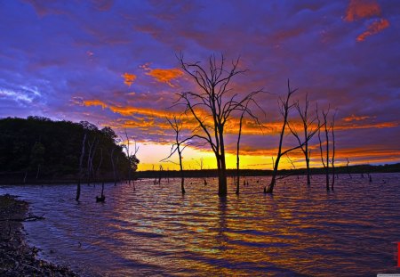 Rock Creek Sunset - rock, sunset, water, creek