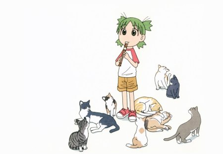 Yotsuba