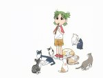 Yotsuba