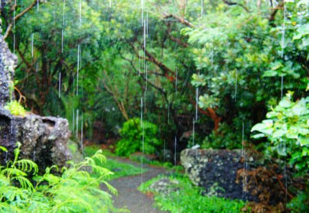 The rain curtain - path, grass, tree, rain