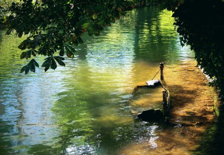 Lake - lake, tree, nature, boat