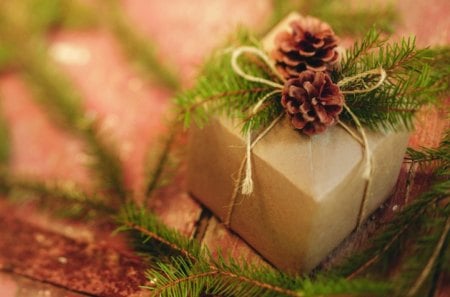 Tiny presentâ™¥ - love, cone, fresh, fashion, present, lovely, fire, entertainment, tiny, forever, green