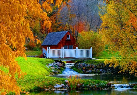 Forest house - nice, cottage, autumn, trees, peaceful, water, stream, creek, foliage, calm, fall, pretty, reflection, river, house, branches, falling, summer, lovely, serenity, nature, woods, forest, beautiful, leaves, cabin