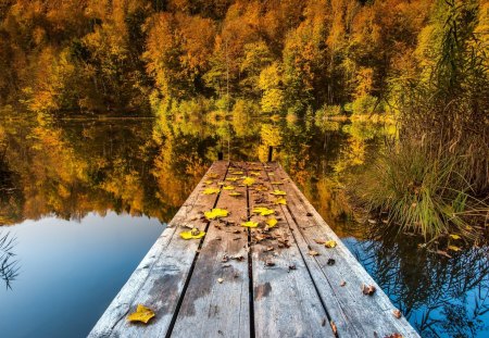 Autumn Splendor - beauty, autumn, peaceful, water, leaf, autumn leaves, wood, fall, view, pretty, reflection, lake, wooden, autumn splendor, lovely, nature, autumn colors, pier, woods, forest, beautiful, leaves, splendor